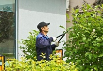 Создаем красоту каждый день