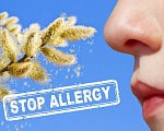 Стоп аллергия