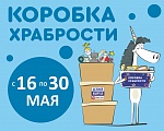 КОРОБКА ХРАБРОСТИ - БЛАГОТВОРИТЕЛЬНЫЙ ПРОЕКТ ДК