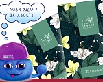 Декашки дарят сертификаты в СПА