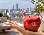 Созрели ПЛЮСЫ, выбирайте свой! Созрели ПЛЮСЫ, выбирайте свой!